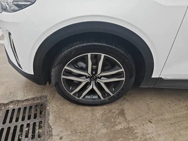 Besturn Bestune T99 2023 2.0T Automatic Premium (8AT) — Фото автомобиля 22