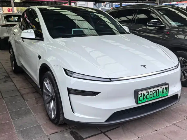 Tesla Model Y — Фото автомобиля 3