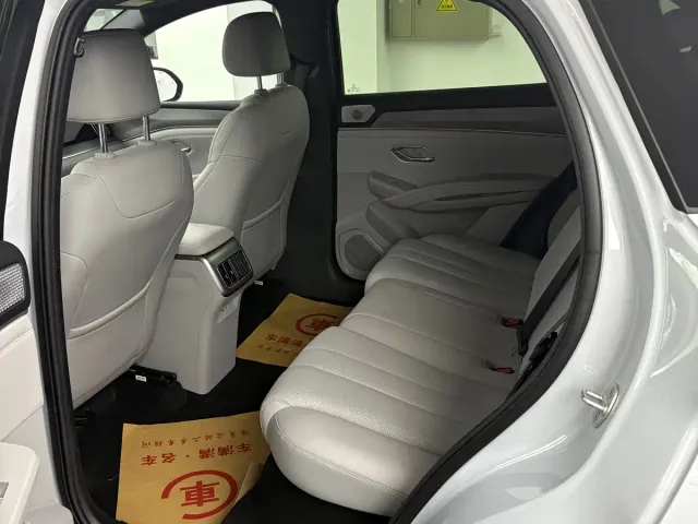 BYD Song Ultra — Фото автомобиля 9