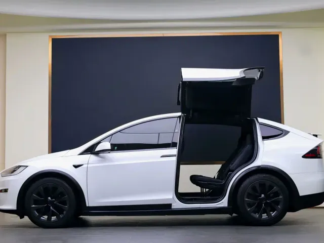 Tesla Model X — Фото автомобиля 21