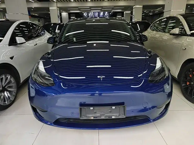 Tesla Model Y — Фото автомобиля 2