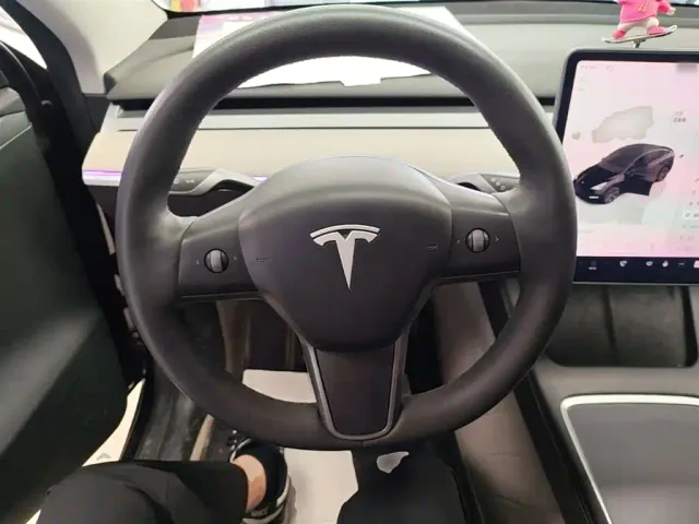Tesla Model Y — Фото автомобиля 10