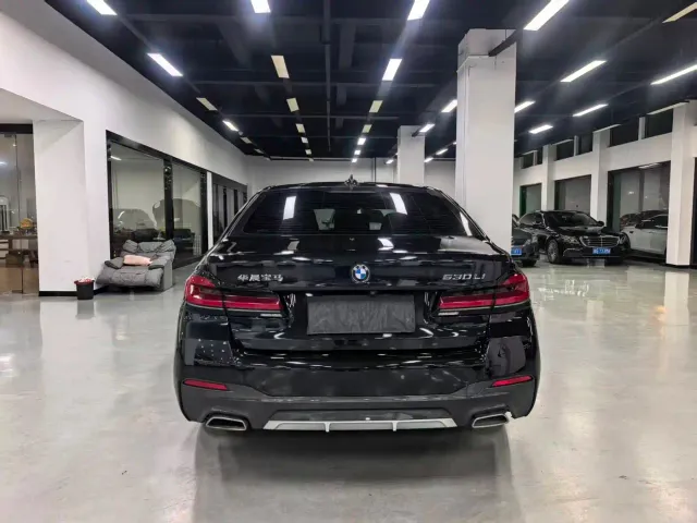 BMW 5 Series — Фото автомобиля 6