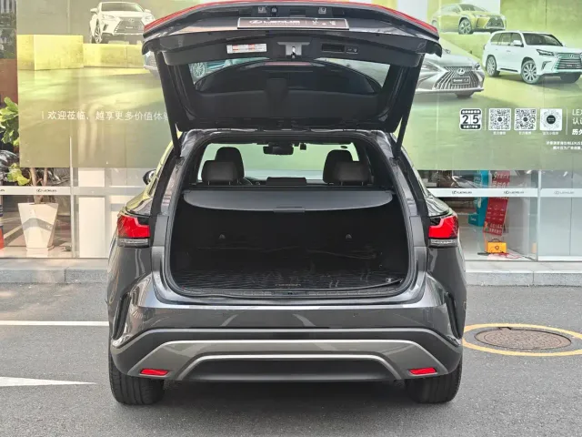 Lexus RX — Фото автомобиля 9