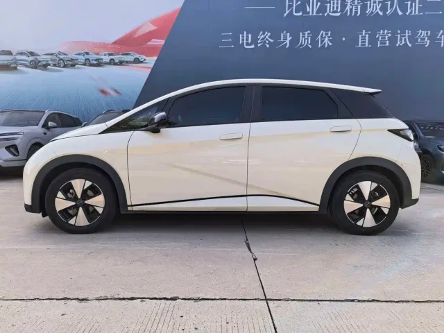 BYD Dolphin — Фото автомобиля 3