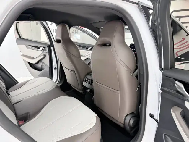 BYD Qin PLUS — Фото автомобиля 15