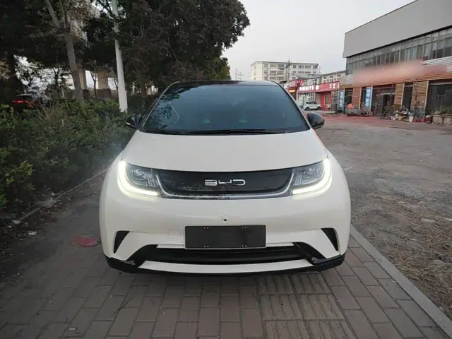 BYD Dolphin — Фото автомобиля 2