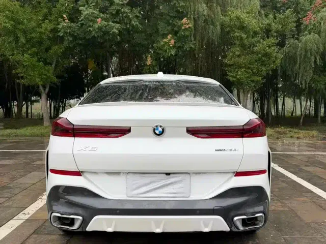 BMW X6 — Фото автомобиля 8