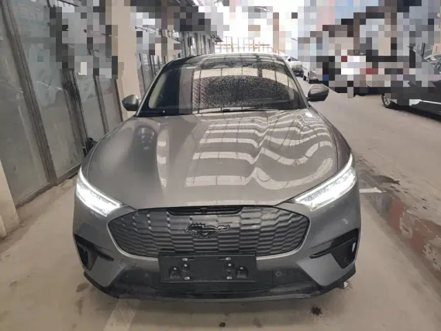 Ford Mustang Mach-E — Фото автомобиля 2