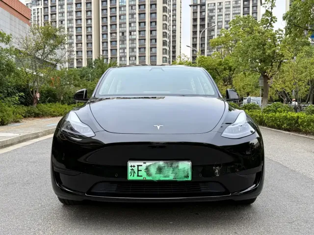 Tesla Model Y — Фото автомобиля 2