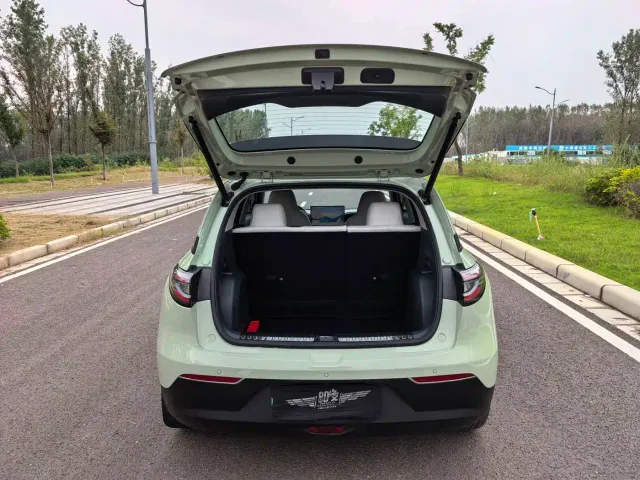 Geely Starry Wish — Фото автомобиля 16