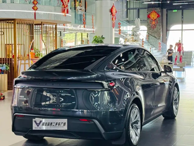 Tesla Model Y — Фото автомобиля 9