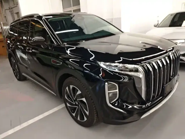 Hongqi Hongqi HS7 PHEV 2024 2.0T PHEV 4WD Flagship Edition 6-seater — Фото автомобиля 3
