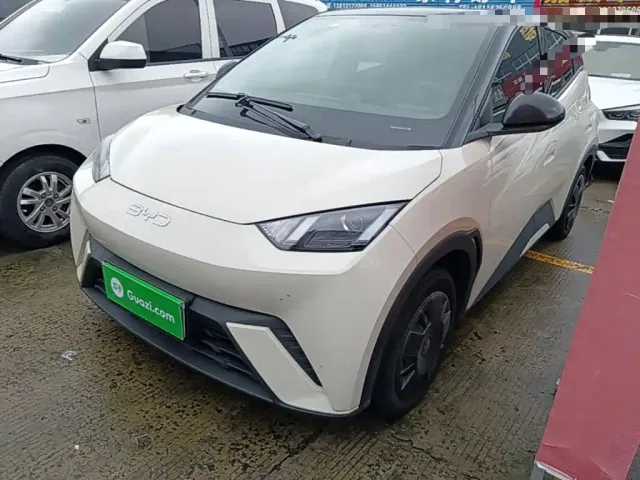 Фотография автомобиля — BYD Seagull