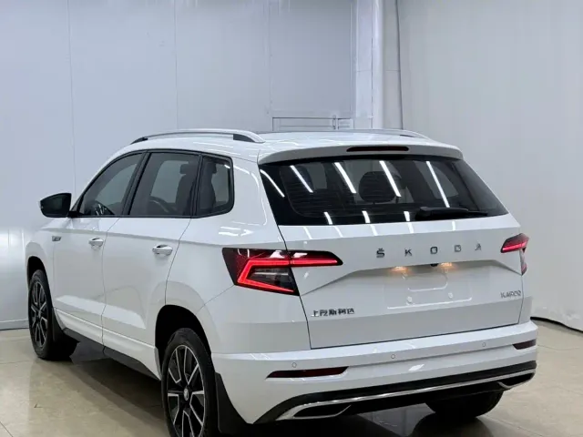 Skoda Karoq — Фото автомобиля 6