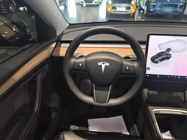 Tesla Model Y — Фото автомобиля 10