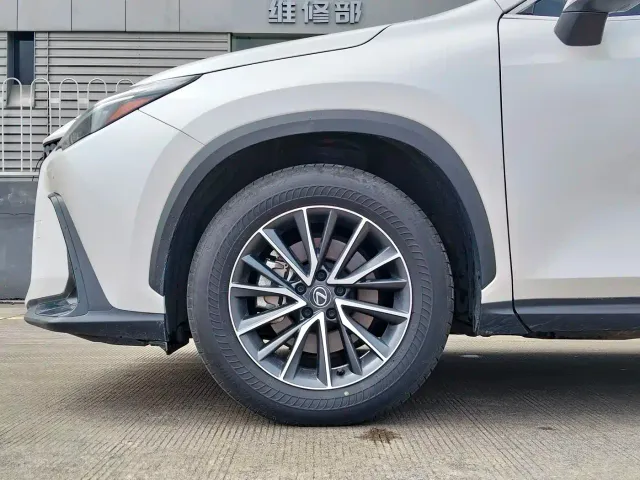 Lexus NX — Фото автомобиля 16