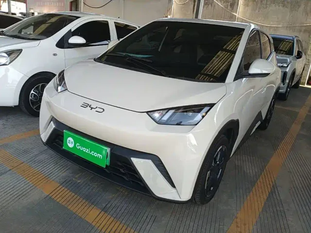 Фотография автомобиля — BYD Seagull