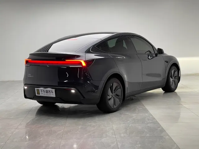 Tesla Model Y — Фото автомобиля 6