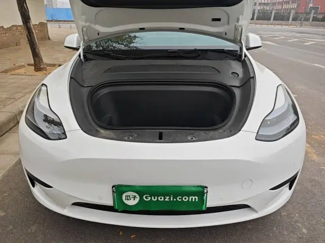Tesla Model Y — Фото автомобиля 19