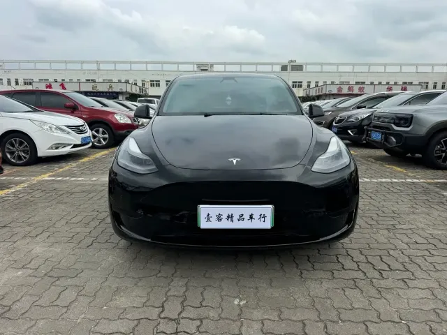 Tesla Model Y — Фото автомобиля 2