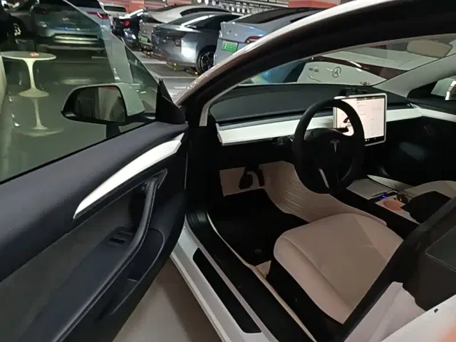 Tesla Model 3 — Фото автомобиля 15