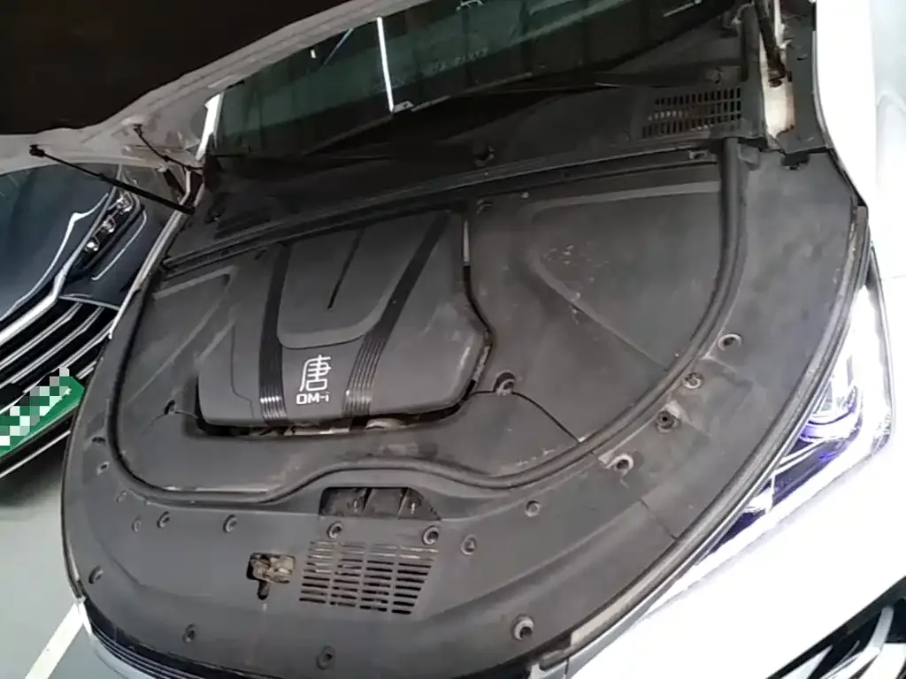 BYD Tang New Energy 2023 Model DM-i Champion Edition 112KM Premium — Фото автомобиля 19