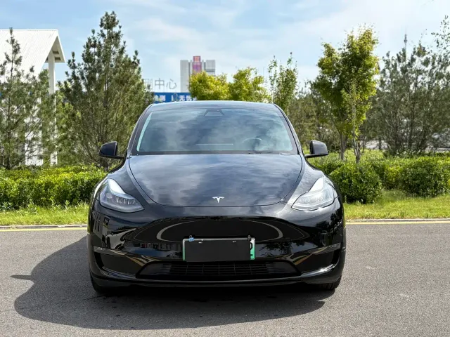 Tesla Model Y — Фото автомобиля 2