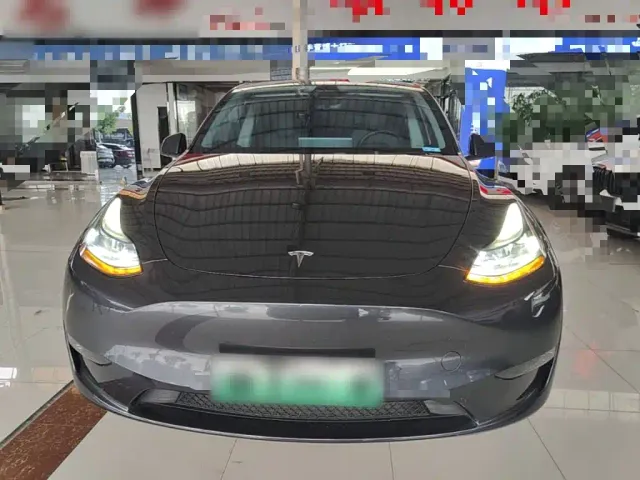 Tesla Model Y — Фото автомобиля 2