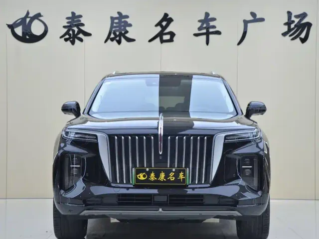 Hongqi E-HS9 — Фото автомобиля 2