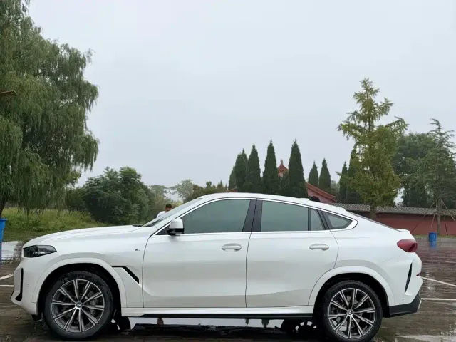 BMW X6 — Фото автомобиля 3