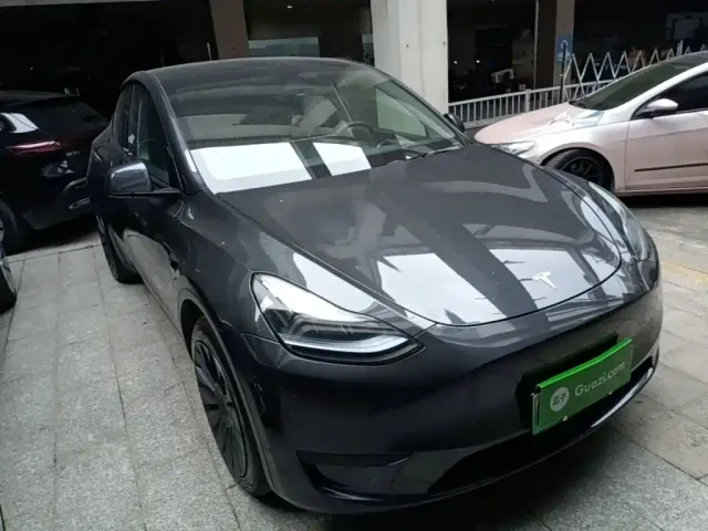 Tesla Model Y — Фото автомобиля 3