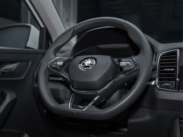 Skoda Karoq — Фото автомобиля 17