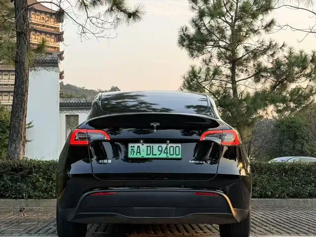 Tesla Model Y — Фото автомобиля 8