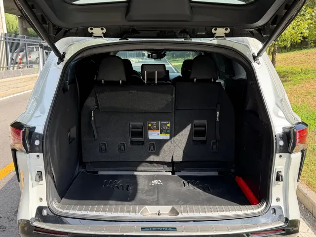 Toyota Sienna — Фото автомобиля 6