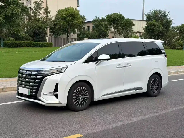 Фотография автомобиля — Denza D9