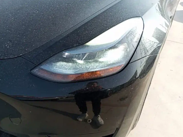 Tesla Model Y — Фото автомобиля 23