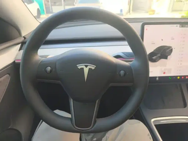 Tesla Model Y — Фото автомобиля 10