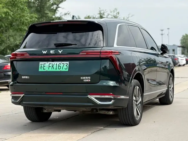 Wey Lanshan — Фото автомобиля 15