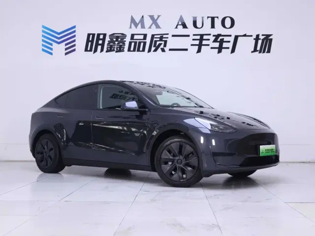 Tesla Model Y — Фото автомобиля 5