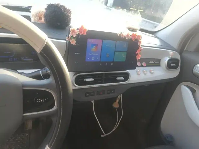 Geely Panda — Фото автомобиля 12