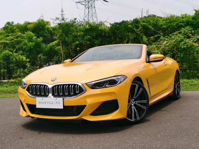 BMW 8 Series — Фото автомобиля 13