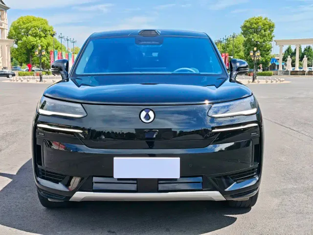 Denza N9 — Фото автомобиля 2