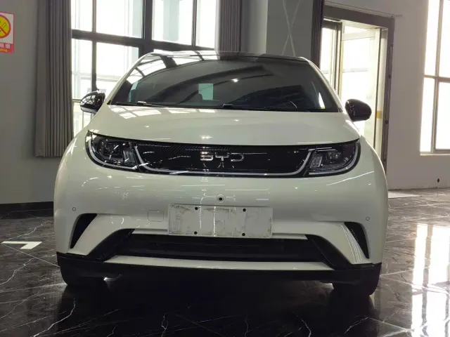 BYD Dolphin — Фото автомобиля 2
