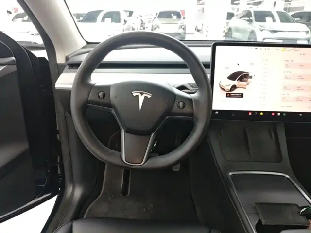 Tesla Model Y — Фото автомобиля 10