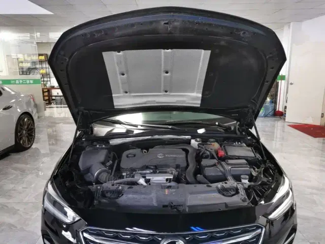 Buick Regal — Фото автомобиля 19
