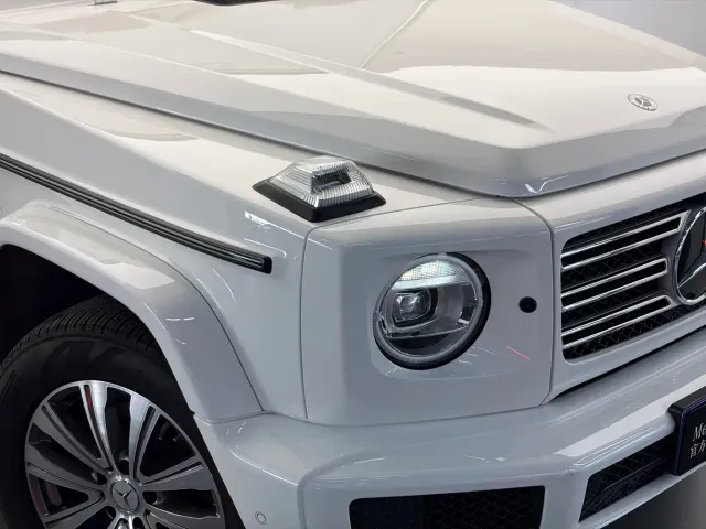 Mercedes-Benz G-Class — Фото автомобиля 19