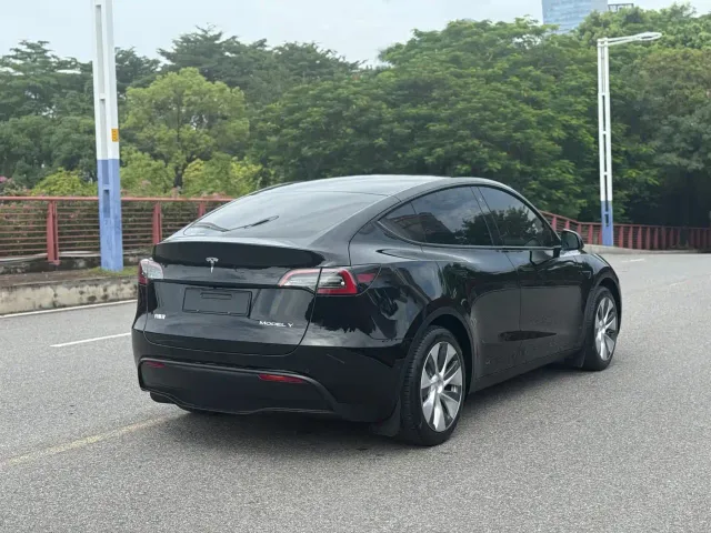 Tesla Model Y — Фото автомобиля 19