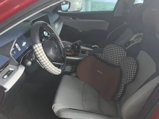 Geely Xing Rui 2021 2.0TD Flagship Model — Фото автомобиля 16