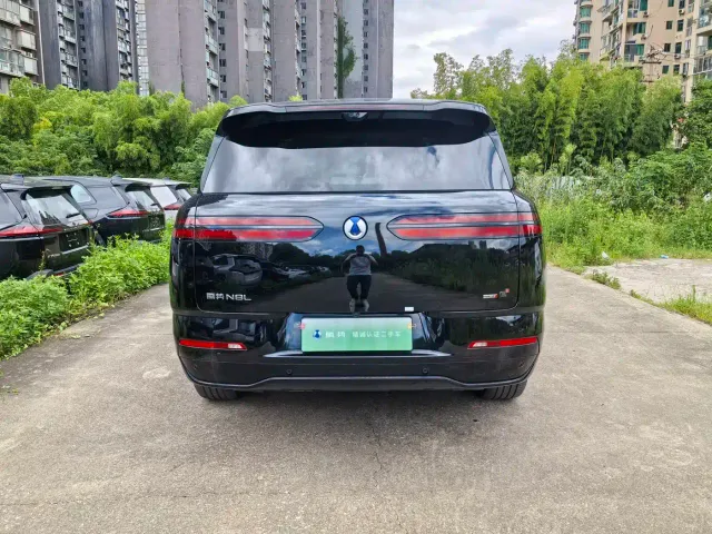 Denza N8L — Фото автомобиля 7